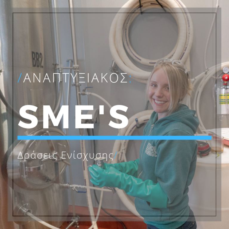 Anaptyxiakos